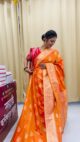 Shella Paithani - Semi Paithani - Image 3